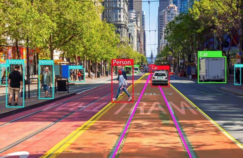 Insights & Case Studies